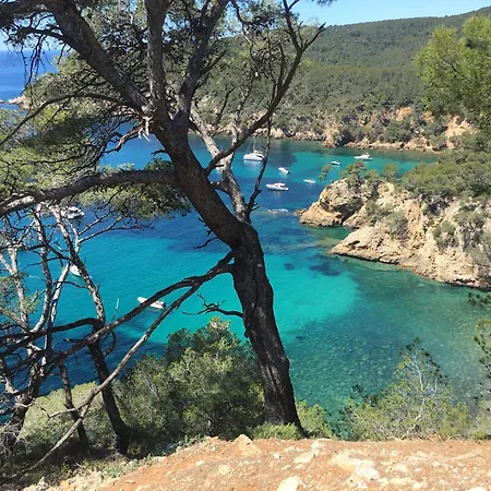 T3 Terrasse Vue Apartment